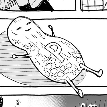 ピーナッツのおもちゃ