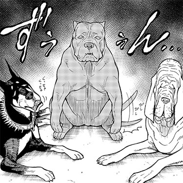 ペットショップのマッチョ犬たち