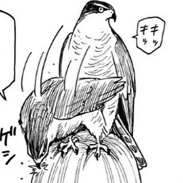 キッキちゃん