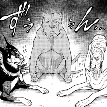 ペットショップのマッチョ犬たち
