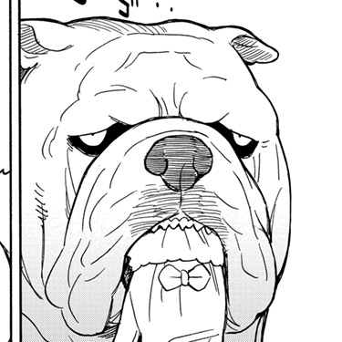 手袋を奪ったブルドッグ