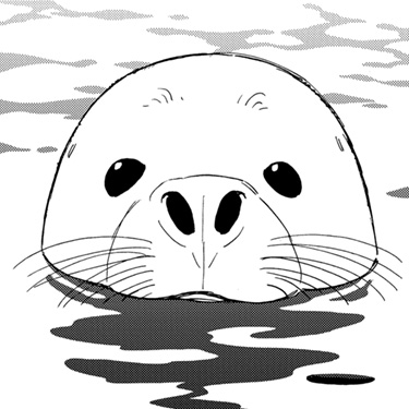 ベルちゃん
