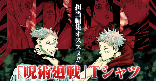 呪術廻戦　全巻　プラス 呪術廻戦 (全30巻) Kindle版