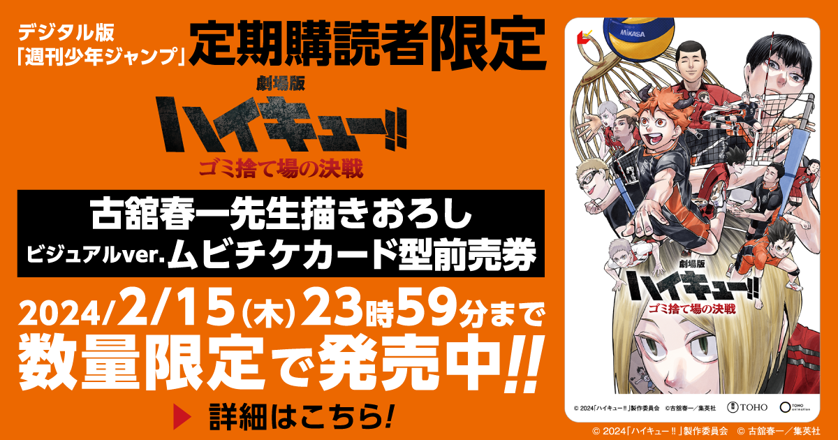 劇場版 ハイキュー ゴミ捨て場の決戦 ミニ下敷き ムビチケ 使用済み